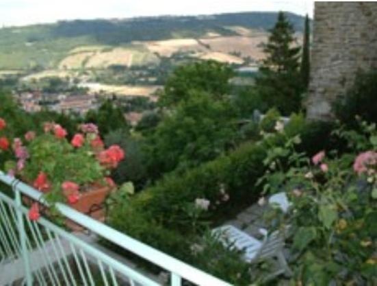 B&B Il Colle Serra San Quirico Eksteriør billede